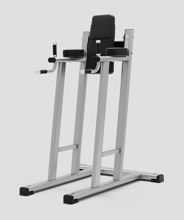 Exigo® Leg Raise / Dip Station