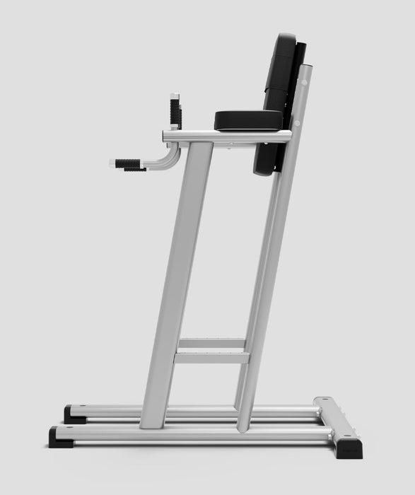 Exigo® Leg Raise / Dip Station