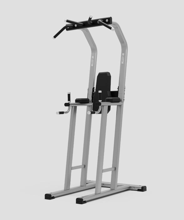 Exigo® Chin Dip Leg Raise Station